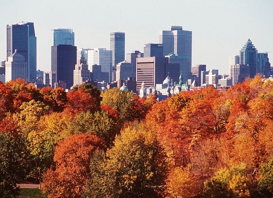 Faszinierende Ostküste - Montreal