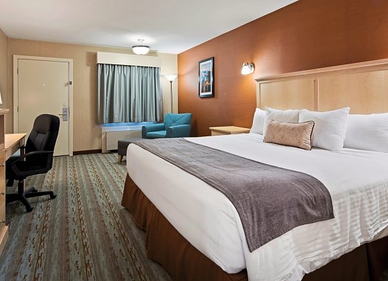 Best Western Acadia Park Inn - Wohnbeispiel Standard (Zimmercodierung UG1)