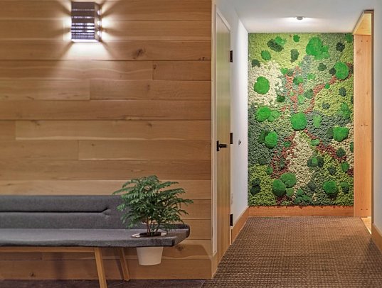 Hotel Vermont