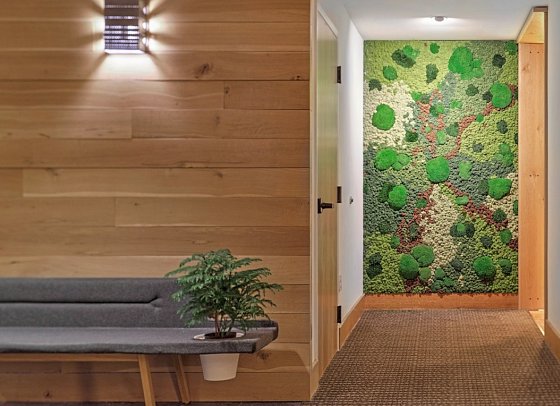 Hotel Vermont