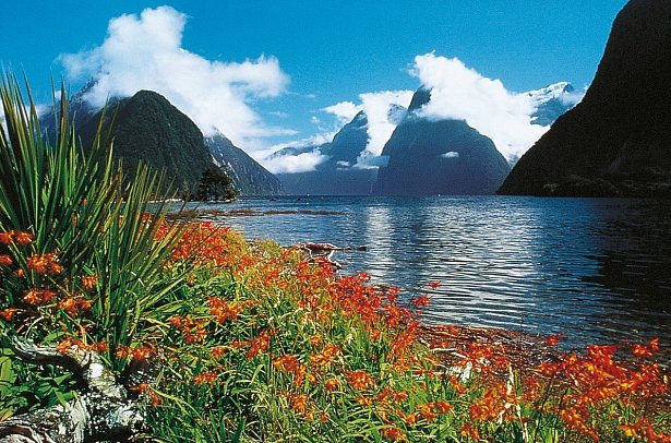 Zwischen Fjorden, Vulkanen & Küsten - Neuseeland entdecken - Milford Sound