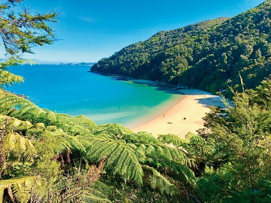 Zwischen Fjorden, Vulkanen & Küsten - Neuseeland entdecken - Abel Tasman Nationalpark