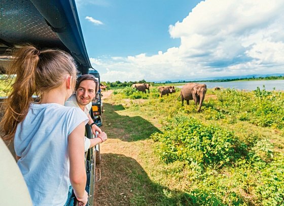 Wildlife Potpourri - Udawalawe Nationalpark