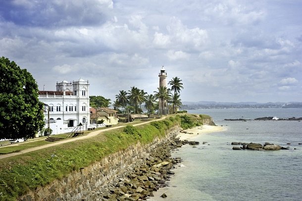 Wildlife Potpourri - Stadt Galle