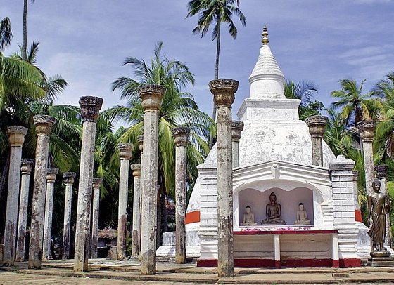 Sri Lanka intensiv