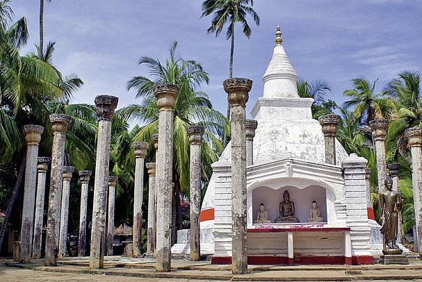 Sri Lanka intensiv
