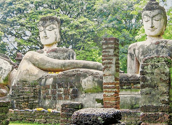 Sri Lanka Allround (Gruppenreise)
