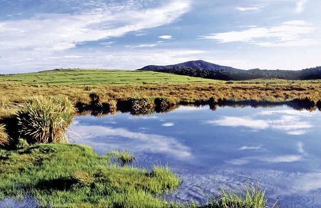 Perle im Indischen Ozean - Horton Plains