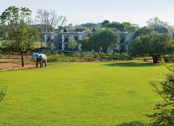 Aliya Resort & Spa