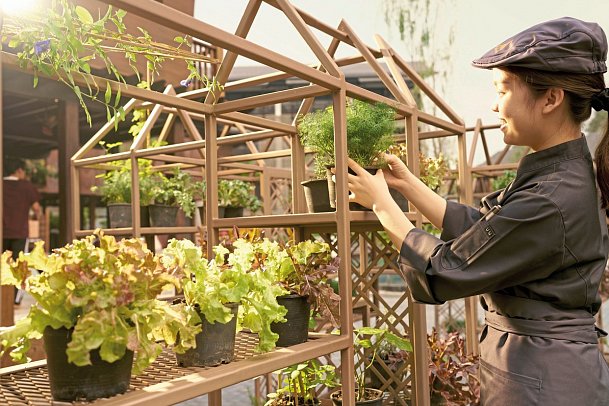 Aleenta Retreat Chiang Mai