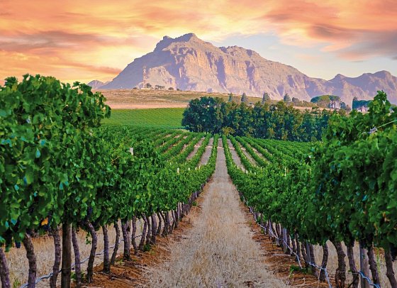 Gartenroute - Zwischen Wein & Wildnis