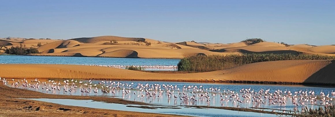 Kapstadt & Namibia – Urbaner Lifestyle & endlose Weiten - Flamingos, Walvis Bay