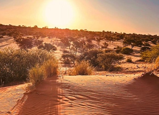 Kapstadt & Namibia – Urbaner Lifestyle & endlose Weiten - Sonnenuntergang in der Kalahari