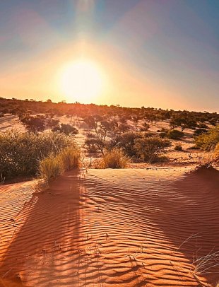 Kapstadt & Namibia – Urbaner Lifestyle & endlose Weiten - Sonnenuntergang in der Kalahari