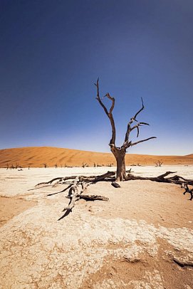 Kapstadt & Namibia – Urbaner Lifestyle & endlose Weiten - Dead Vlei