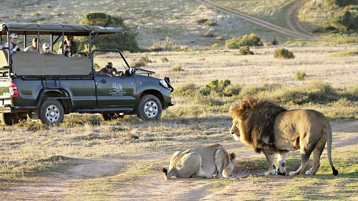 Go4South Africa - Erlebnisreise für die ganze Familie