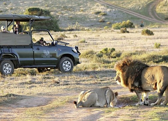 Go4South Africa - Erlebnisreise für die ganze Familie
