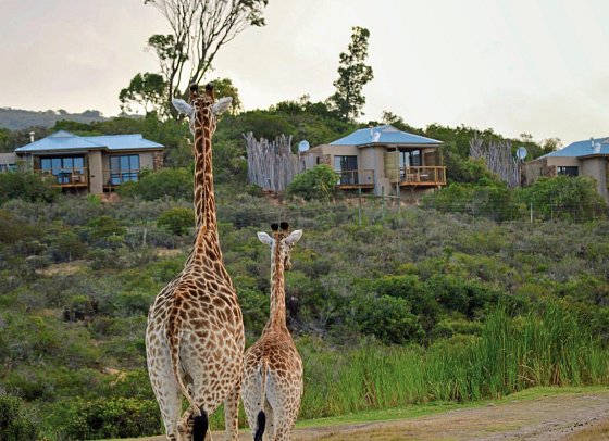 Go4South Africa - Erlebnisreise für die ganze Familie
