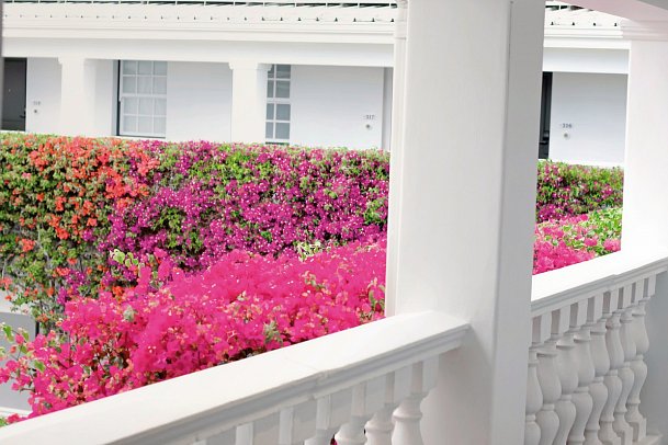 The Winchester Boutique Hotel