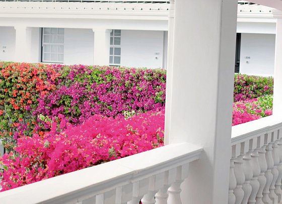 The Winchester Boutique Hotel