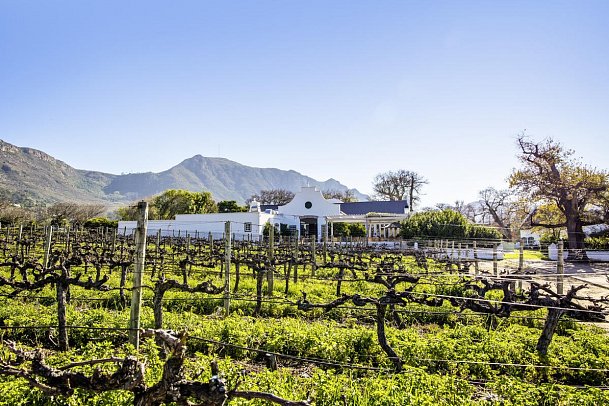 Steenberg Hotel & Spa