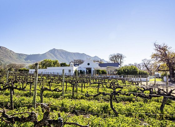Steenberg Hotel & Spa
