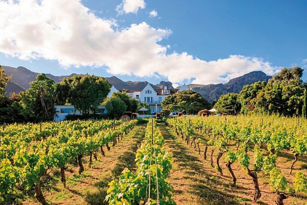 The Cellars-Hohenort