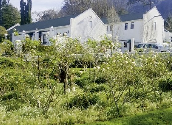 The Cellars-Hohenort