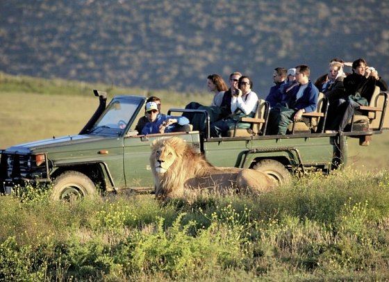 Facettenreiche Gartenroute (Gruppenreise) - Garden Route Game Lodge