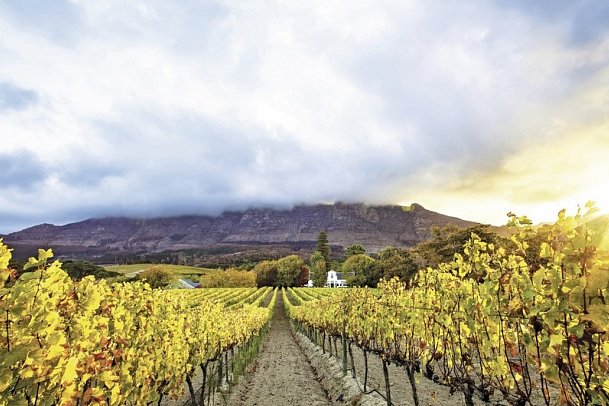 Südafrika zum Verweilen (Kapstadt-Johannesburg) - Winelands