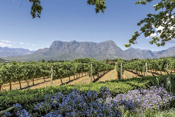 Südafrika zum Verweilen (Kapstadt-Johannesburg) - Winelands