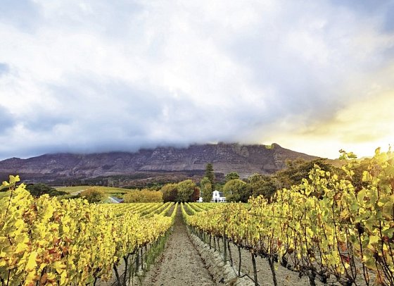 Südafrika zum Verweilen (Kapstadt-Johannesburg) - Winelands