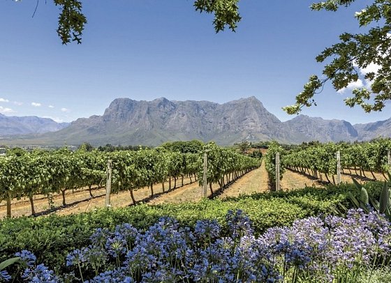 Südafrika zum Verweilen (Kapstadt-Johannesburg) - Winelands