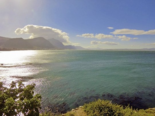 Cape in Style (ab Kapstadt/bis Gqeberha (Port Elizabeth)) - Küste, Hermanus