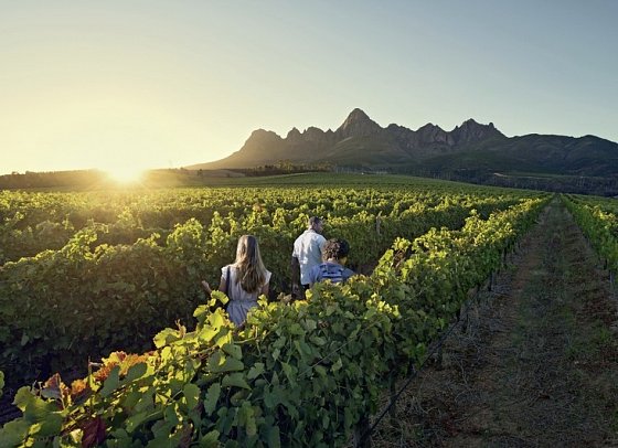 Cape in Style ab/bis Kapstadt - Winelands