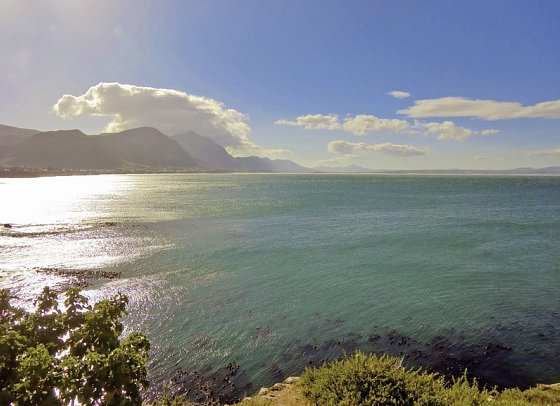 Cape in Style ab/bis Kapstadt - Küste, Hermanus