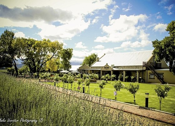 Wellness, Wein & wilde Tiere