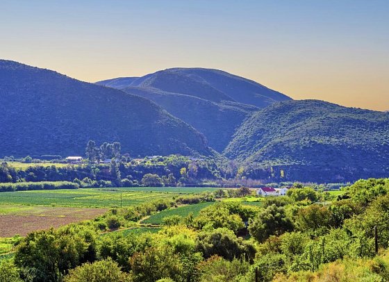 Wellness, Wein & wilde Tiere - Weingut im Oudtshoorn-Tal