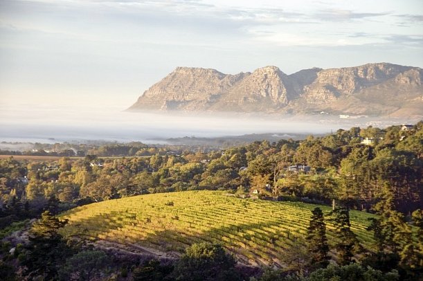 Faszination Gartenroute, Karoo und Addo (Autoreise) - Winelands