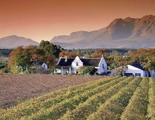 Faszination Gartenroute, Karoo und Addo (Autoreise) - Weinregion