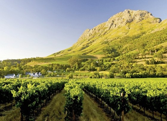 Erlebnis Gartenroute, Karoo & Addo - Weinregion bei Stellenbosch