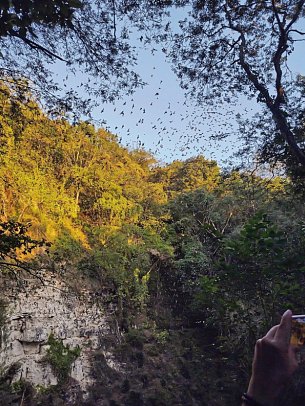 Maya Kultur & Magie – die tiefe Seele Yucatans - Calakmul