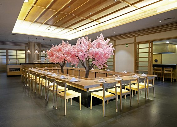 Majestic Mirage Costa Mujeres