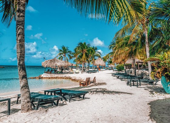 LionsDive Beach Resort