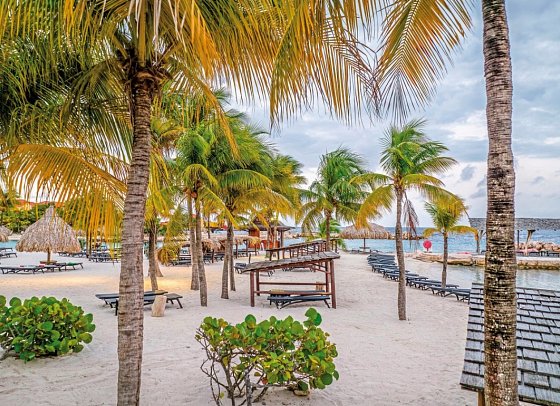 LionsDive Beach Resort