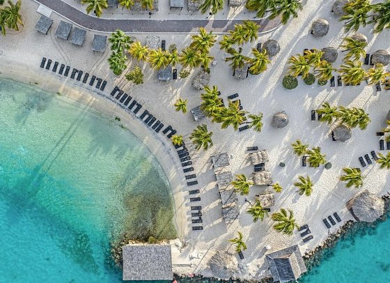 LionsDive Beach Resort