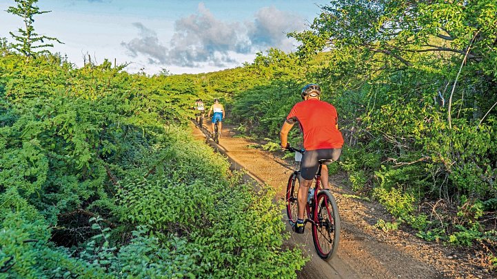 Coral Estate Luxury Resort