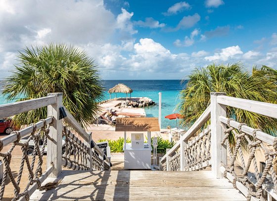 Coral Estate Luxury Resort