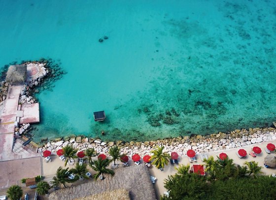 Coral Estate Luxury Resort