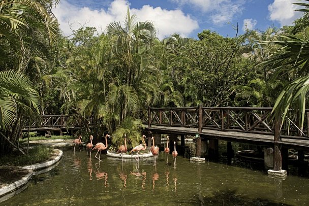 Iberostar Waves Cozumel